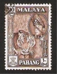 Stamps Malaysia -  tigre, pahang