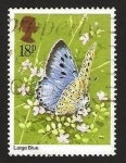 Stamps United Kingdom -  mariposa, large blue
