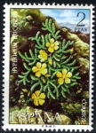 Stamps Spain -  Flora. Hypericum ericoides.