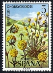 Sellos de Europa - Espa�a -  Flora. Anthyllis onobrychioides.