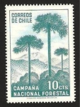 Sellos de America - Chile -  campaña nacional forestal