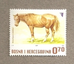 Stamps Europe - Bosnia Herzegovina -  Caballo