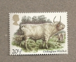 Stamps United Kingdom -  Razas de vacuno