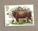 Stamps United Kingdom -  Razas de vacuno