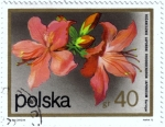 Sellos del Mundo : Europa : Polonia : Flores.