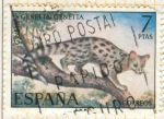Stamps Spain -  Gineta