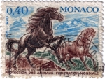 Stamps : Europe : Monaco :  Protección de los animales