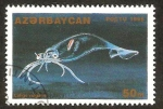Stamps Asia - Azerbaijan -  medusa, loligo vulgaris