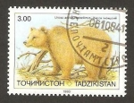 Sellos del Mundo : Asia : Tayikistán : fauna, ursus arctos isabellinus