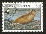 Sellos del Mundo : Asia : Turkmenistán : fauna, phoca caspica