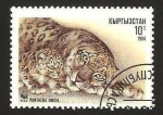 Stamps Asia - Kyrgyzstan -  pantera uncia