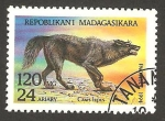 Stamps Madagascar -  perro lobo