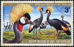 Stamps : Africa : Senegal :  Fauna