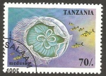 Stamps Africa - Tanzania -  medusa
