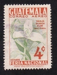 Sellos de America - Guatemala -  Monja Blanca Flor Nacional