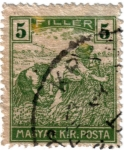 Stamps : Europe : Hungary :  Magyar Kir. Posta. Oficios
