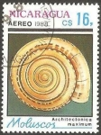 Stamps Nicaragua -  molusco architectonica maximum