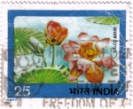 Stamps : Asia : India :  Flor de loto.