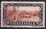Stamps Guatemala -  Caña de azúcar