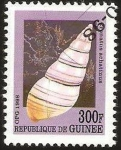 Stamps Guinea -  caracola marina