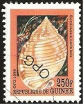 Stamps : Africa : Guinea :  caracola marina