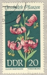 Stamps Germany -  DDR Lilium Martagon