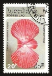 Stamps Laos -  molusco