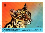 Stamps : Asia : United_Arab_Emirates :  OCELOT