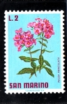 Stamps San Marino -  PHLOX PANICULATA