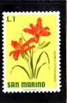 Stamps San Marino -  HEMEROCALLIS HYBRIDA