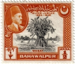 Sellos de Asia - Pakist�n -  Bodas de plata 1924-1949. Cosecha de trigo