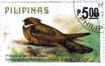 Stamps : Asia : Philippines :  El Gran orejas chotacabras
