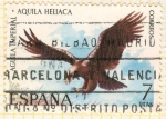 Stamps Spain -  Aguila Heliaca