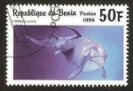 Stamps Benin -  delfin