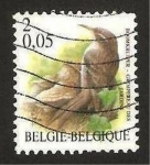 Stamps Belgium -  pajaro