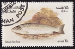 Stamps Asia - Oman -  