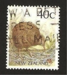 Stamps Oceania - New Zealand -  ave, kiwi marron