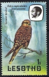 Stamps : Africa : Lesotho :  Aves. Halcón. Falco rupicoloides Seotsanyana.