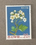 Stamps North Korea -  Majuelo