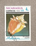 Stamps Nicaragua -  Molusco Strombus pugilis