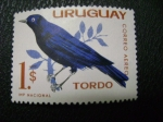 Sellos de America - Uruguay -  tordo