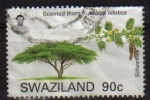 Stamps : Africa : Swaziland :  SWAZILAND Sello Serie Arboles. Acacia usado