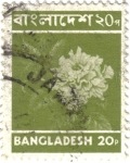 Sellos de Asia - Bangladesh -  Flora