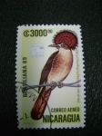 Stamps Nicaragua -  ony chorhynchus mexicanus