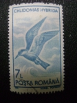 Stamps Romania -  chlidonias hybrida