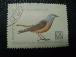 Stamps : Europe : Romania :  MONTICOLA SAX MIERLA DE PIATRA