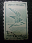 Stamps Romania -  sterna hirundo