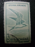 Stamps : Europe : Romania :  sterna hirundo