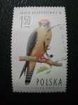 Stamps Poland -  falco vespertinus