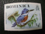 Stamps : America : Dominica :  ringed king fisher